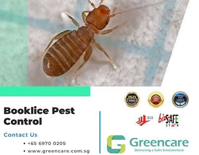 Booklice Pest Control & Treatment in Singapore