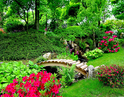 Landscaping, Lawn Maintenance, Commercial Landscaping,