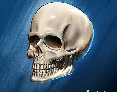 Skull Digital Paint