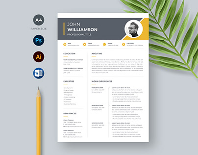 Professional Resume/CV and Cover Letter Design