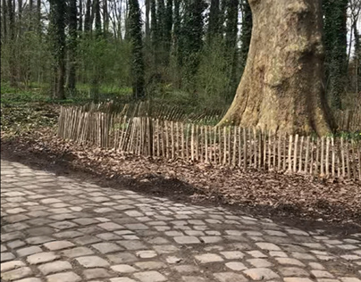 Le chemin vers un arbre