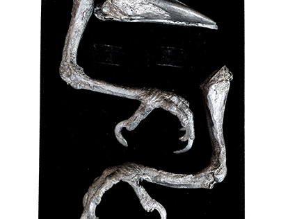 metal sculptures