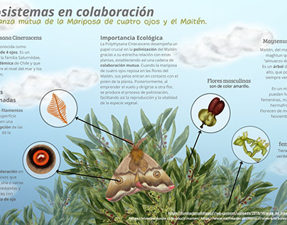 Ecosistemas en colaboración
