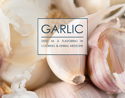 FOOD: Garlic