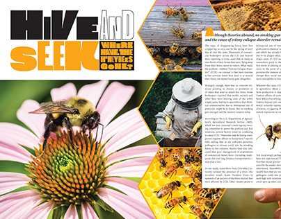 Hive And Seek: Joseph Herrmann