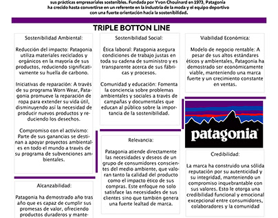 TRIPLE BOTTON LINE - PATAGONIA
