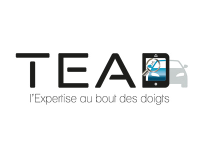 Logo TEAD expert automobile