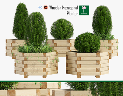 3d modeling & 3d visualization Hexagonal Planter