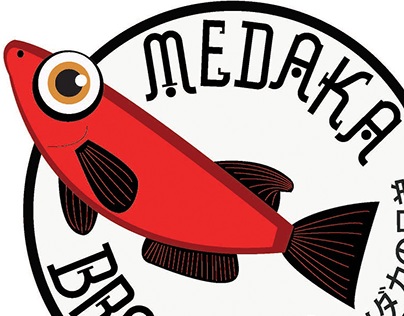 MedakaBrothers - Logo