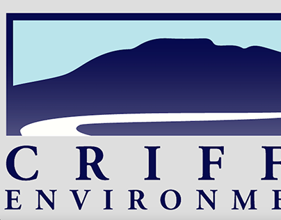 Brand Identity: Criffel Environmental