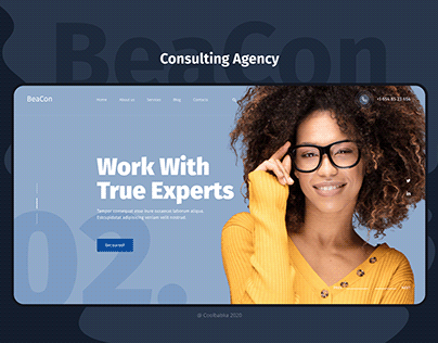 Consulting company Web Design Wordpress Theme