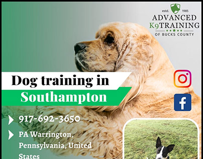 Comprehensive Dog Training in Bucks County