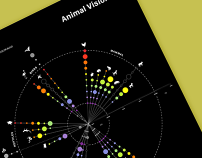 Animal Vision - Biodiagram