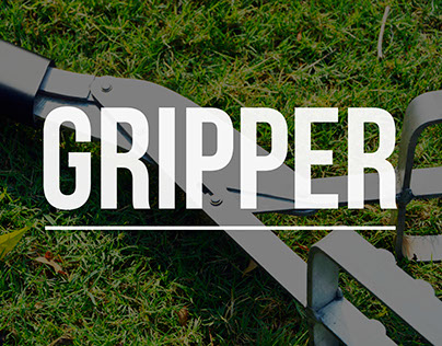 GRIPPER - A redesigned rake for Indian railways