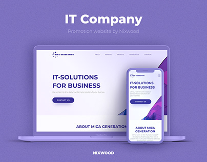 IT company project