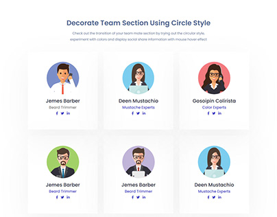 Team Member Section - WordPress