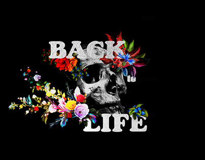 Back to life: Easter Sermon Series Artwork