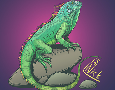 Iguana vector illustration