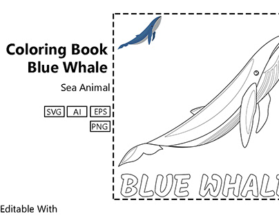 Coloring Book Blue Whale