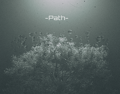 -Path-