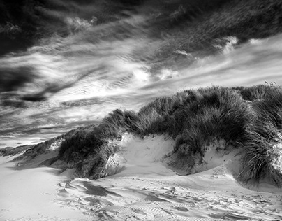 AMRUM – Sand Dunes.