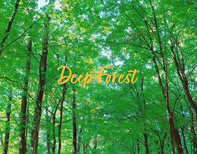 Lovelyz teaser 2020 Deep Forest