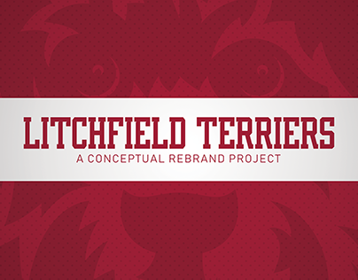 Litchfield Terriers