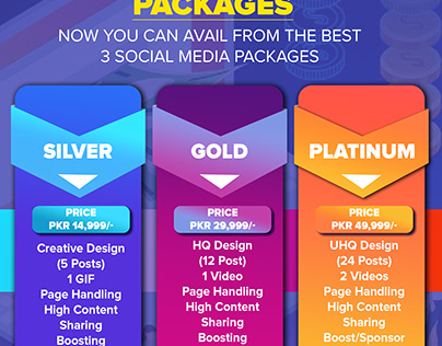 Seo Packages Flyer Design
