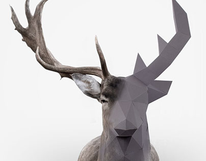 Real Paper Animal Heads