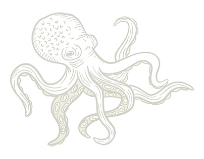 Octopus Illustrations