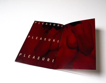Pleasure Zine