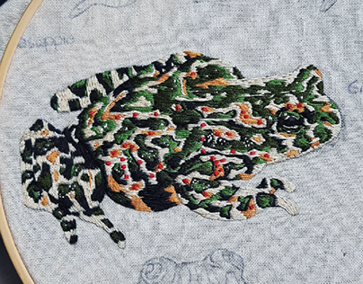 Frog embroidery