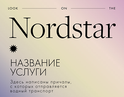 Фирменный стиль для компании Nord Star