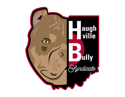 Haughville Bully Syndicate
