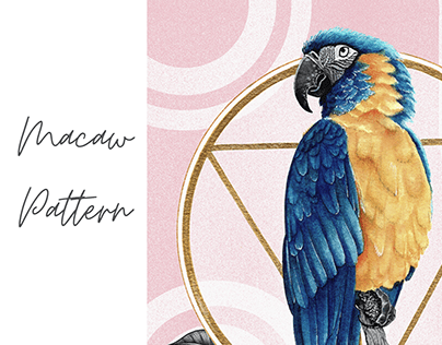 Macaw Pattern