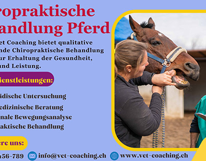 Chiropraktische Behandlung Pferd | Novotny Vet Coaching