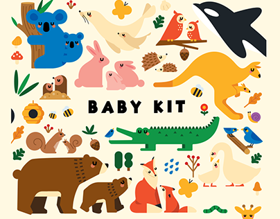 Samsung Card Baby Kit