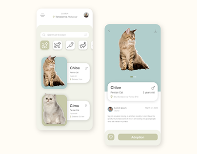 Pet Adopt App Design