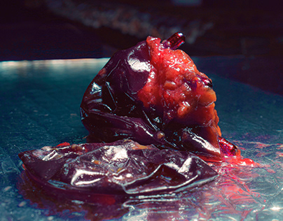EXOCARP (Rotten Fruit Photography)