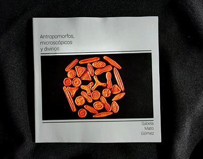 Antropomorfos, microscópicos y divinos