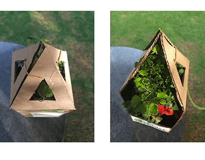 Product Packaging: Plants