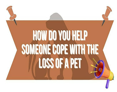 How Do You Help Someone Cope With The Loss Of A Pet