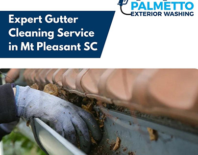 Gutter Cleaning Service in Mt Pleasant SC | Palmetto