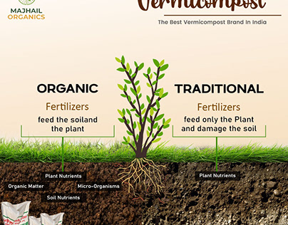 The Top Organic Fertilizer
