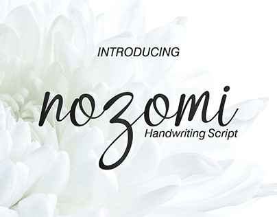 Nozomi Handwriting Script Font