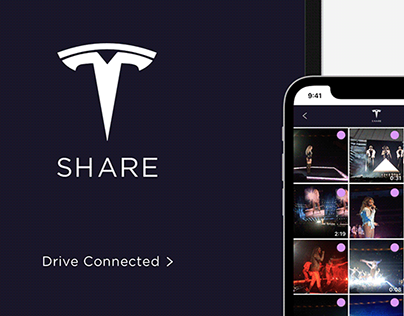 Tesla Share