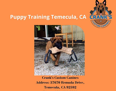 Browse us for Puppy Training service in Temecula