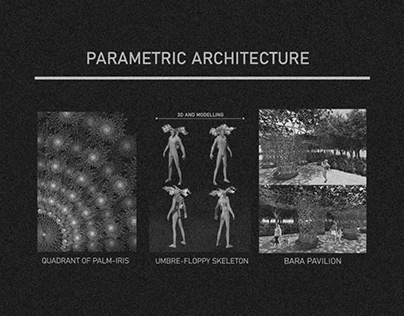 Parametric Architecture