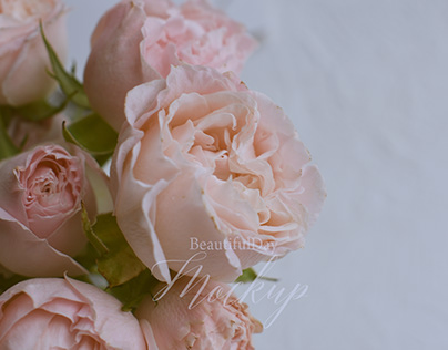 peony roses, pink roses