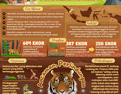 Infografis Harimau Sumatera